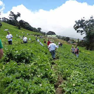 Tour de la papa en las faldas del Volcán Irazú, Costa Rica&nbsp;(reseña)