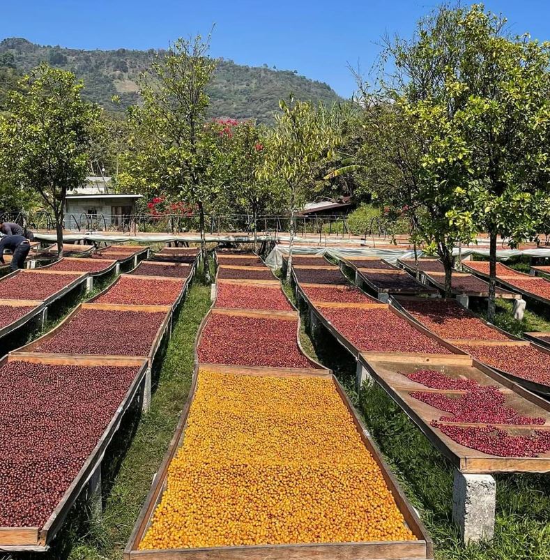 Las rutas alimentarias, herramienta para valorizar productos de las agroindustrias rurales. El caso de la ruta del queso Turrialba, Costa&nbsp;Rica