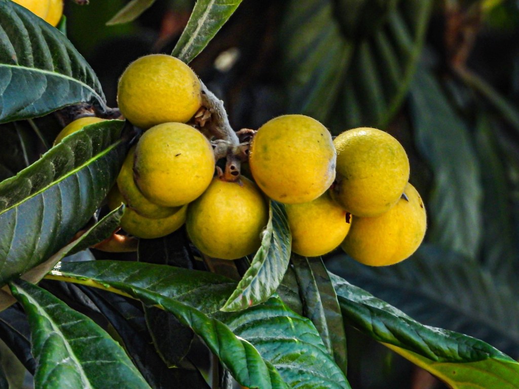 Valorización turística de productos con identidad territorial&nbsp;(metodología)