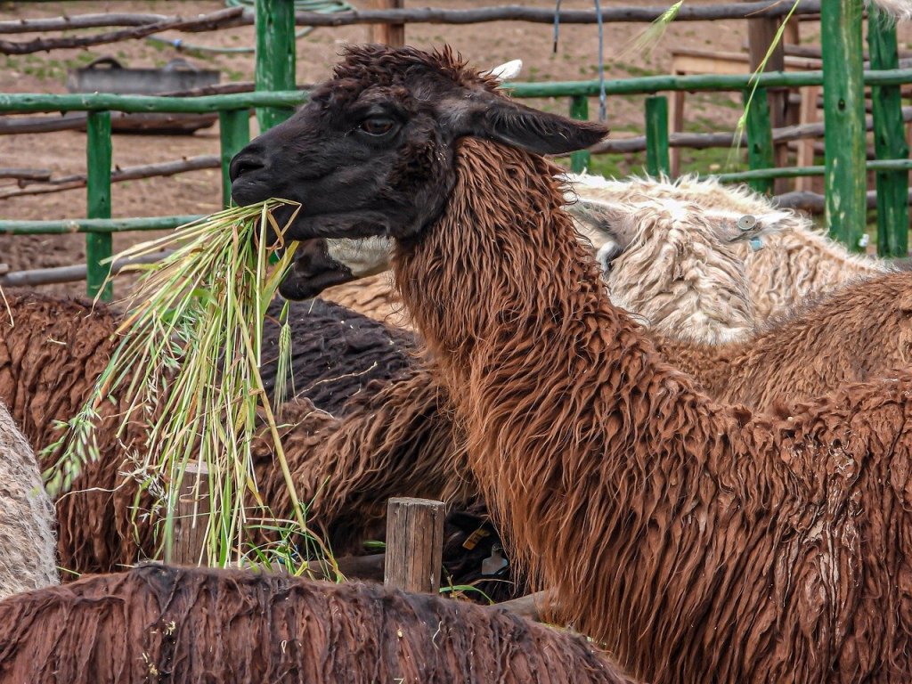 Formación y fortalecimiento de&nbsp;capacidades