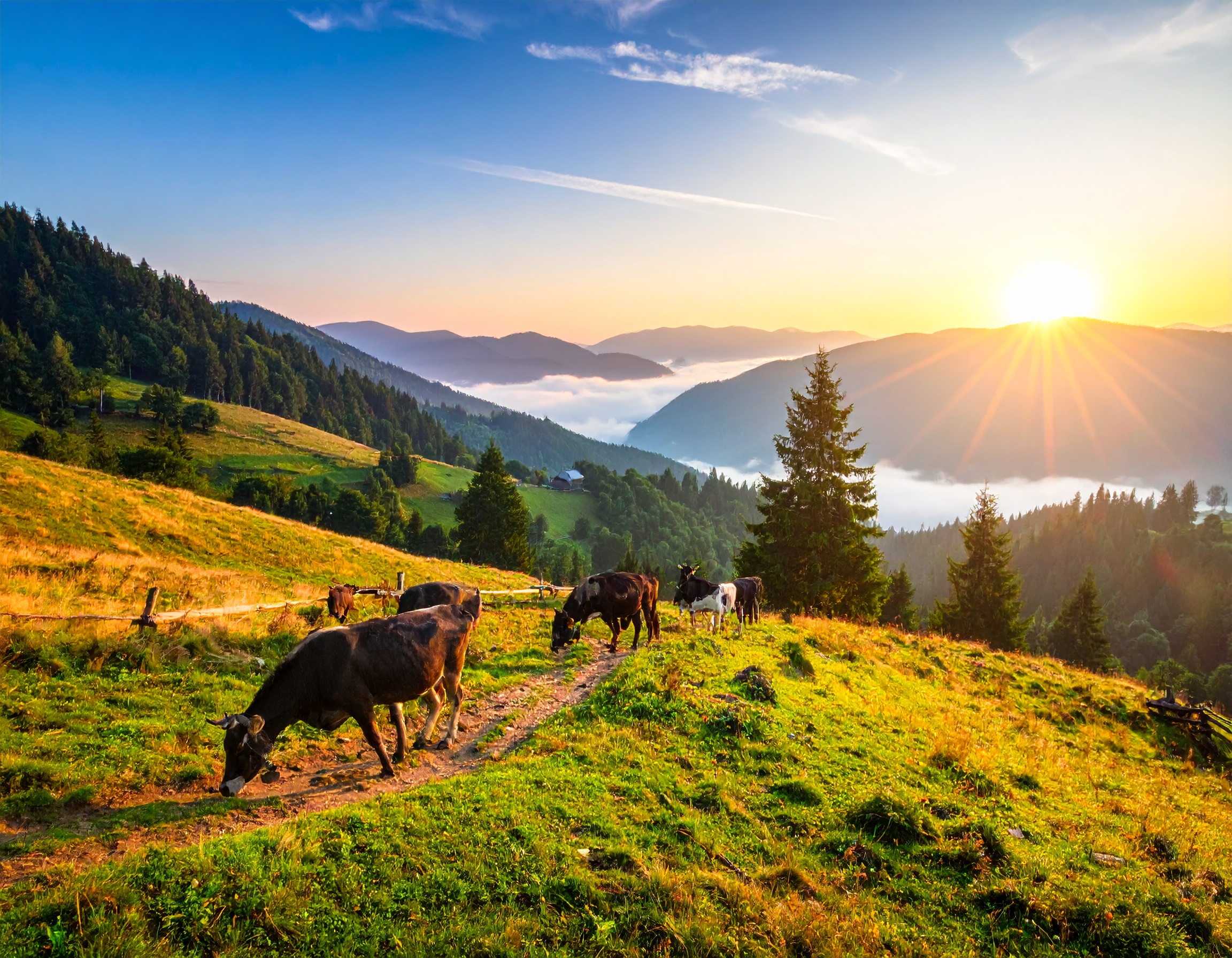 El agroturismo, una alternativa para revalorizar la agroindustria&nbsp;rural