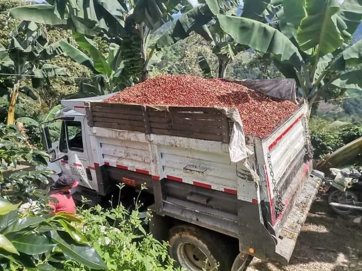 Buenas prácticas en el beneficiado del&nbsp;café