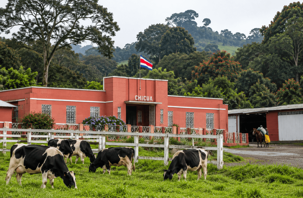 Tour a las antiguas lecherías de&nbsp;Chicuá