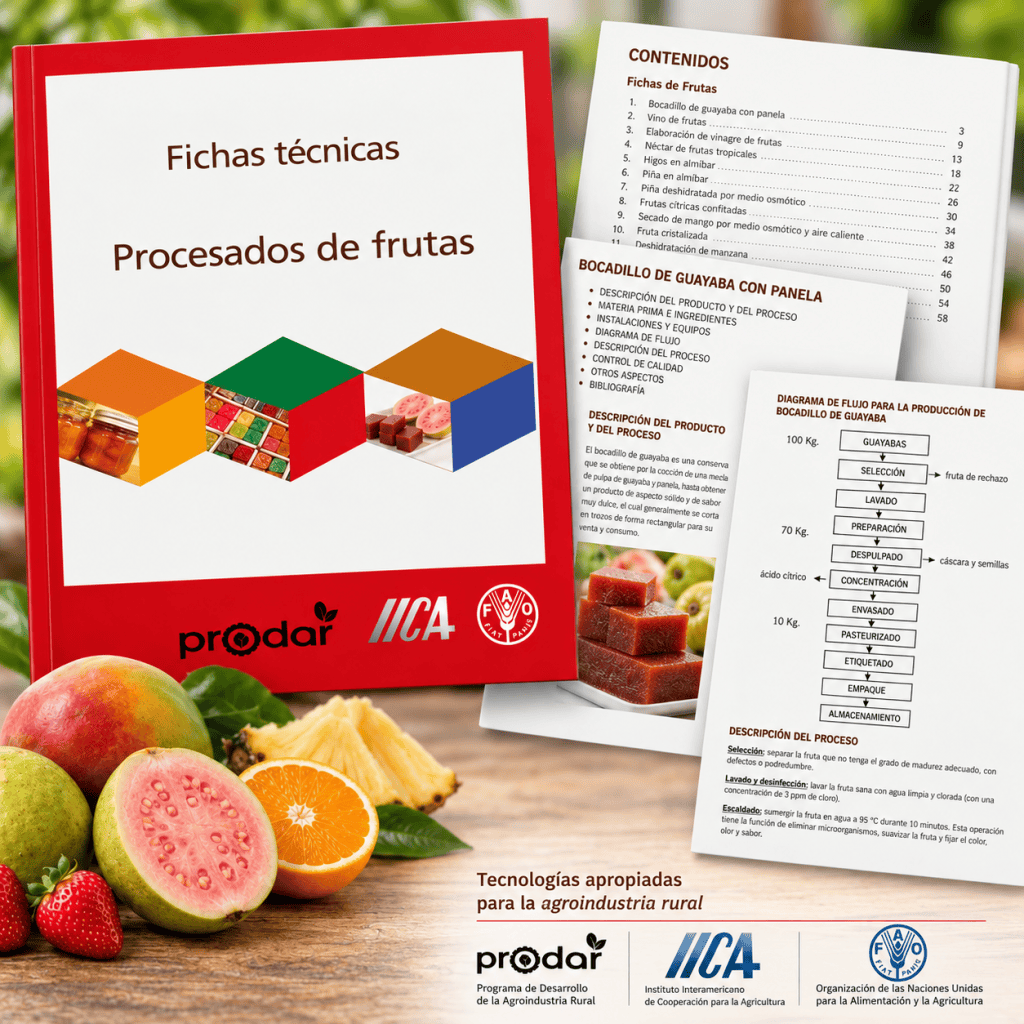 Fichas técnicas de procesamiento de&nbsp;frutas